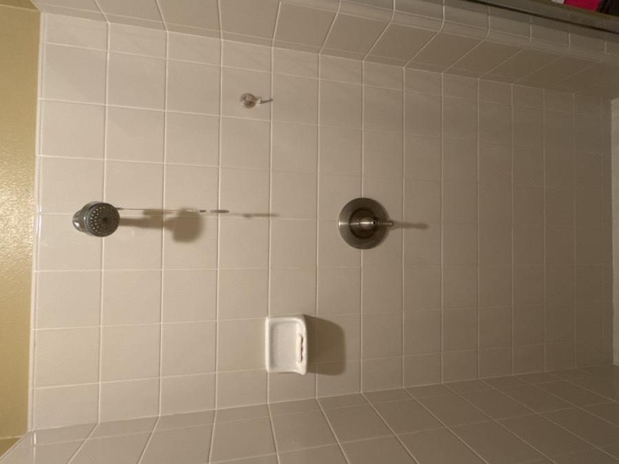 Cleaned tile and grout